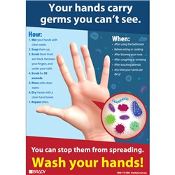 Brady Vinyl Wall Banner Your Hands Carry Germs You Can't SEE H594xW420mm