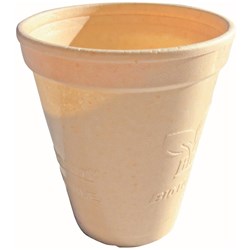 Writer Breakroom Biodegradable Foam Cup 8oz Carton of 1000 White