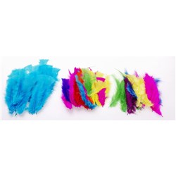 Jasart Feathers Large 30gm Blue  