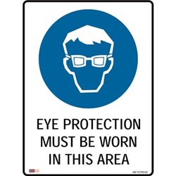 Zions Mandatory Sign Eye Protection 450x600mm Metal 